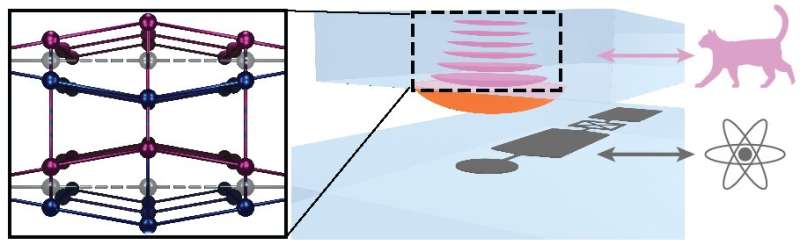 Researchers cretat heaviest Schrödinger cat to date by putting a crystal in a superposition of two oscillatio