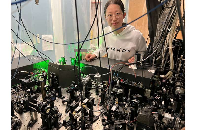 Uncovering universal physics in the dynamics of a quantum system ...