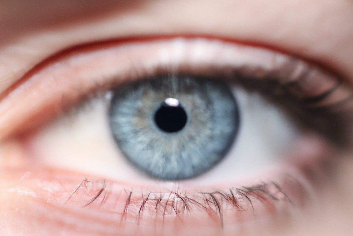 Schizophrenia Identified in 60 Seconds via Visual Fixation Ideas and