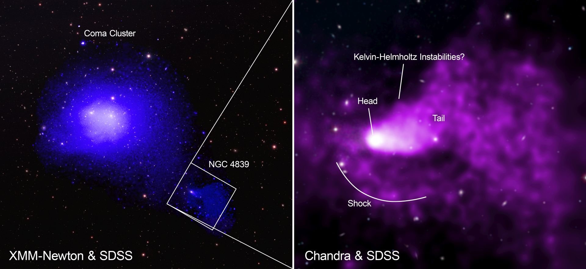 Coma cluster - labeled version. 