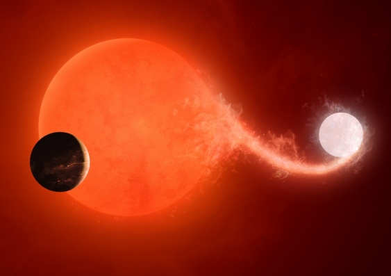 Halla might have once orbited two stars, just like the famous planet Tatooine from Star Wars. But the researchers suspect these stars merged into one – whether by a violent collision or gradual exchange of matter, as pictured here – leading to the planet's survival. 