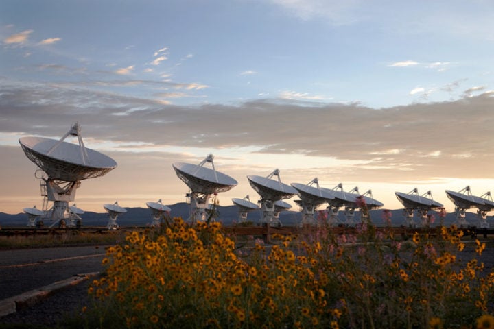 Flowers frame the Very Large Array on the plains of San Agustin, New Mexico. The VLA, the Green Bank Telescope and the now defunct Arecibo Telescope captured this study's radio data from pulsars. 
