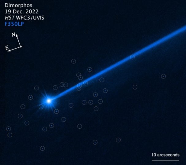 A Hubble Space Telescope image of the asteroid Dimorphos surrounded by boulders (tiny bright dots, circled) that were knocked off of the asteroid’s surface by NASA’s DART mission. 