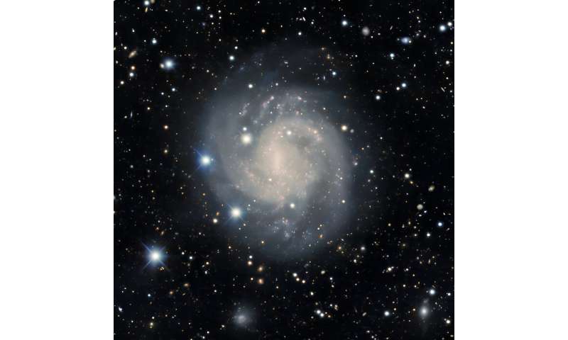 DECam captures the stunning layers of shell galaxy NGC 3923 and nearby gravitational lensing