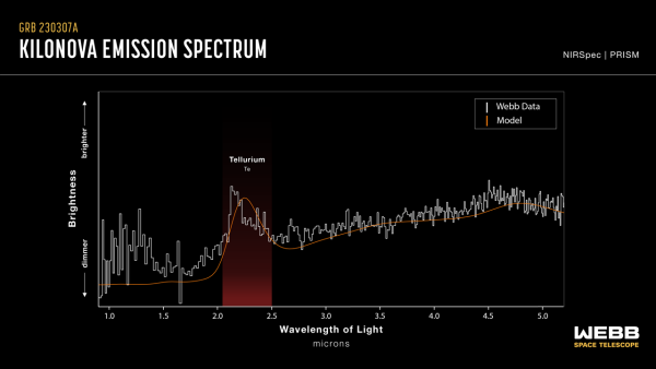 This graphic presentation compares the spectral data of GRB 230307A’s kilonova as observed by the James Webb Space Telescope and a kilonova model. Both show a distinct peak in the spectrum region associated with tellurium, with the area shaded in red. The detection of tellurium, which is rarer than platinum on Earth, marks Webb’s first direct look at an individual heavy element from a kilonova. 