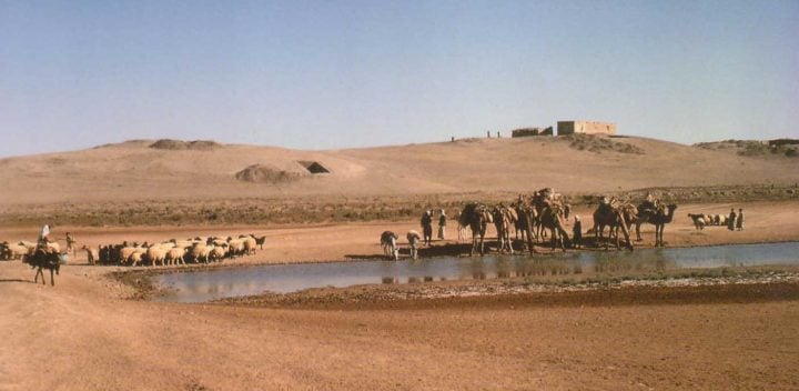 Tell Abu Hureyra in northern Syria in the early 1970s, before it was submerged as part of the construction of the Taqba Dam on the Euphrates River. The rectangular hole in the mound is an excavation trench. 