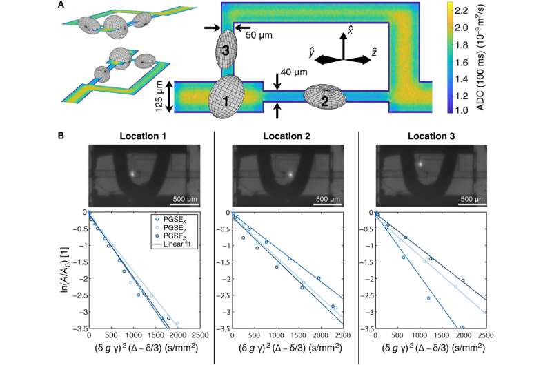 Miniature magnetic resonance imager made of diamond