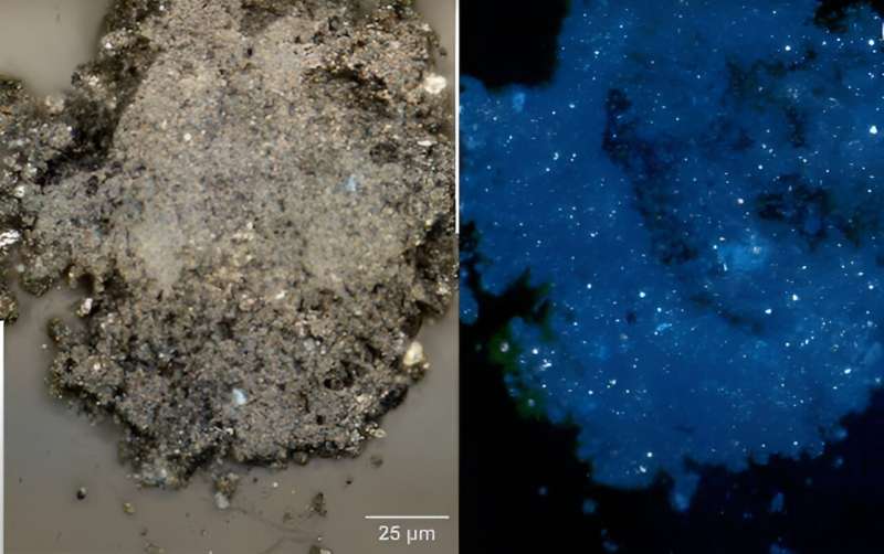 Osiris-Rex: NASA reveals evidence of water and carbon in sample delivered to Earth from an asteroid