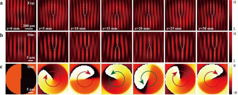 Spin-orbit optical Rabi oscillations