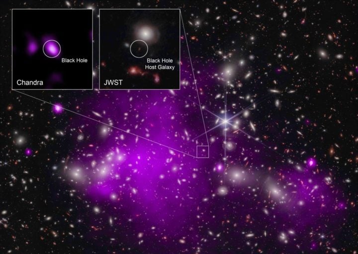 Astrophysicists combined data from JWST and the Chandra X-ray Observatory to identify the growing black hole at the center of this image. 