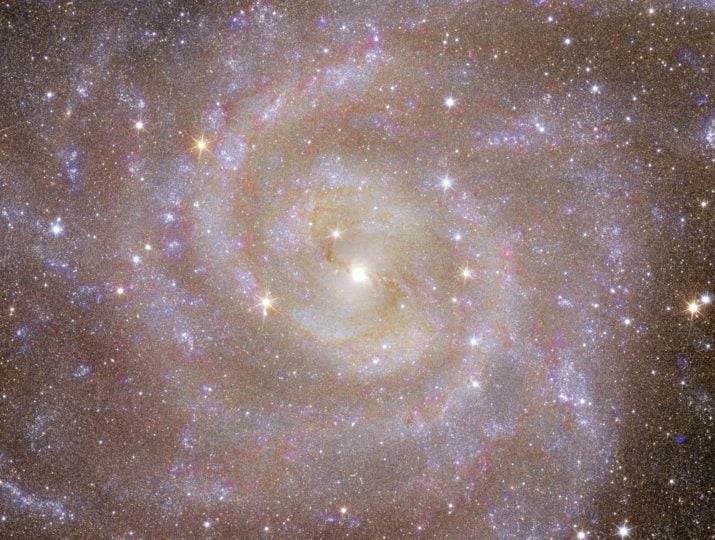 IC 342 is a large spiral galaxy, similar to the Milky Way, which can be seen from the front in white and pink colours. In the image, the colours of the stars range from blue (younger stars) to white to yellow and red (older stars) across the entire image. 