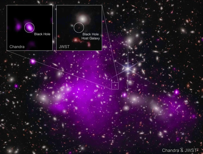 Astronomers found the most distant black hole ever detected in X-rays (in a galaxy dubbed UHZ1) using the Chandra and Webb space telescopes. X-ray emission is a telltale signature of a growing supermassive black hole. This result may explain how some of the first supermassive black holes in the universe formed. These images show the galaxy cluster Abell 2744 that UHZ1 is located behind, in X-rays from Chandra and infrared data from Webb, as well as close-ups of the black hole host galaxy UHZ1. 