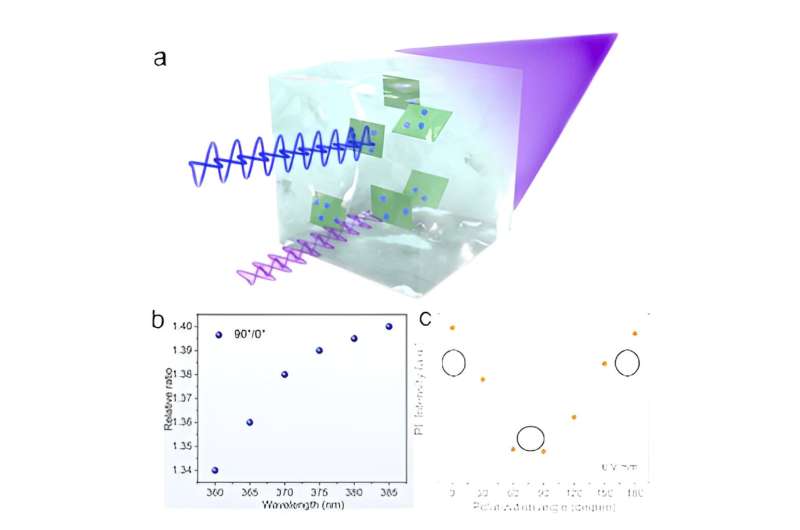 Polarized hetero-structured luminant: The "marriage" of 2D materials and 0D quantum dots