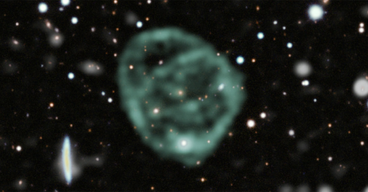 Odd radio circles, like ORC 1 pictured above, are large enough to contain galaxies in their centers and reach hundreds of thousands of light years across.