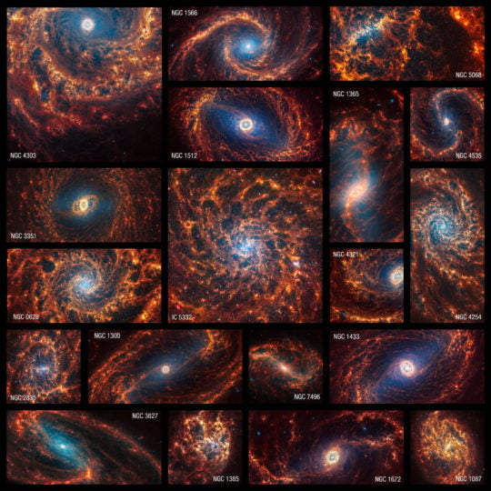 This collection of 19 face-on spiral galaxies from the NASA/ESA/CSA James Webb Space Telescope in near- and mid-infrared light is at once overwhelming and awe-inspiring. Webb’s NIRCam (Near-Infrared Camera) captured millions of stars in these images. Older stars appear blue here, and are clustered at the galaxies’ cores. The telescope’s MIRI (Mid-Infrared Instrument) observations highlight glowing dust, showing where it exists around and between stars – appearing in shades of red and orange. Stars that haven’t yet fully formed and are encased in gas and dust appear bright red. Webb’s high-resolution images are the first to show large, spherical shells in the gas and dust in such exquisite detail. These holes may have been created by stars that exploded and carved out giant regions in the interstellar material. Another eye-catching detail? Several galaxy cores are awash in pink-and-red diffraction spikes. These are clear signs that these galaxies may have central active supermassive black holes or central star clusters. These spiral galaxies are Webb’s first big batch of contributions to the Physics at High Angular resolution in Nearby GalaxieS (PHANGS) program, that includes existing images and data from the NASA/ESA Hubble Space Telescope, the Very Large Telescope’s Multi-Unit Spectroscopic Explorer (MUSE), and the Atacama Large Millimetre/submillimetre Array (ALMA). With Webb’s images, researchers can now examine these galaxies in ultraviolet, visible, infrared, and radio light. [Image description: Nineteen Webb images of face-on spiral galaxies are combined in a mosaic, some within squares, and others horizontal or vertical rectangles. Galaxies’ spiral arms appear in shades of orange, and many of their centres have light blue hazes.]