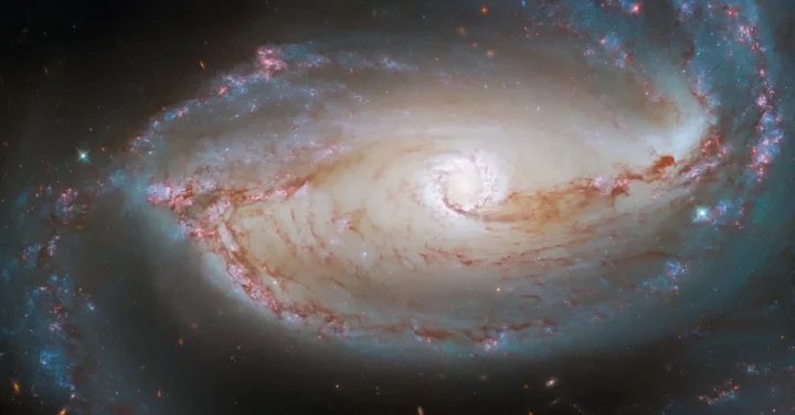 This image shows the heart of the barred spiral galaxy NGC 1097, as seen by NASA’s Hubble Space Telescope.
Credit: ESA/Hubble & NASA, D. Sand, K. Sheth