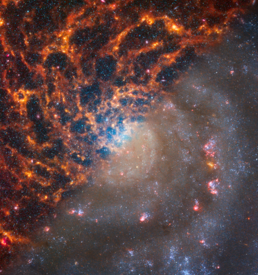 This image shows two views of the same spiral galaxy, called IC 5332, as seen by two NASA observatories – the James Webb Space Telescope’s observations appear at the top left and the Hubble Space Telescope’s at the bottom right. The views are mainly so different due to the wavelengths of light they each showcase. Hubble’s visible and ultraviolet observation features dark regions where dust absorbs those types of light. Webb sees longer wavelengths and detects that dust glowing in infrared. But neither could conduct an efficient survey of our Milky Way galaxy because it covers so much sky area; since IC 5332 is around 30 million light-years away, it appears as a small spot. It would take Hubble or Webb decades to survey the Milky Way, but NASA’s upcoming Nancy Grace Roman Space Telescope could do it in less than a month. 