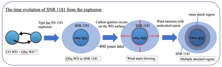 Illustration of the evolution of SNR 1181. This illustration charts the evolution of the SNR 1181 remnant, from its creation when a carbon-oxygen-based white dwarf and oxygen-neon white dwarf merged, to the formation of its two shock regions.