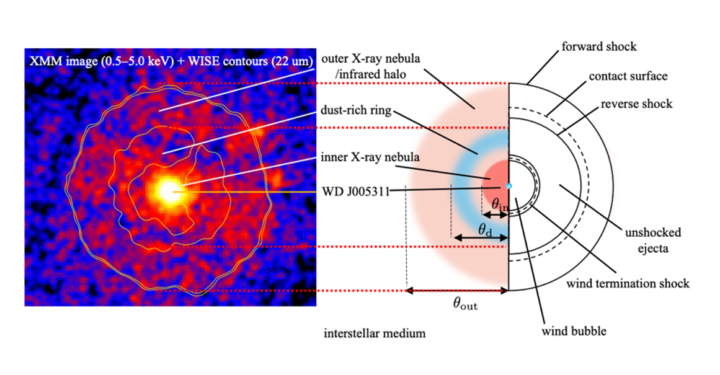 Comparison of X-ray image (left) and new schematic (right). These images show the two shock regions of the remnant SNR 1181. The bright white at the center is the white dwarf. © 2024 T. Ko, H. Suzuki, K. Kashiyama et al./ The Astrophysical Journal