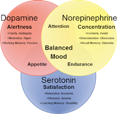 A venn diagram comparing dopamine (alertness), norepinephrine (concentration) and serotonin (satisfaction). The center of the diagram says 