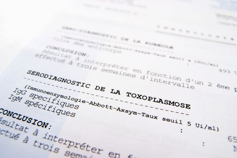 Medical results of toxoplasmosis screening in French