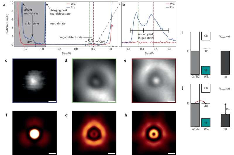 A new approach to accelerate the discovery of quantum materials