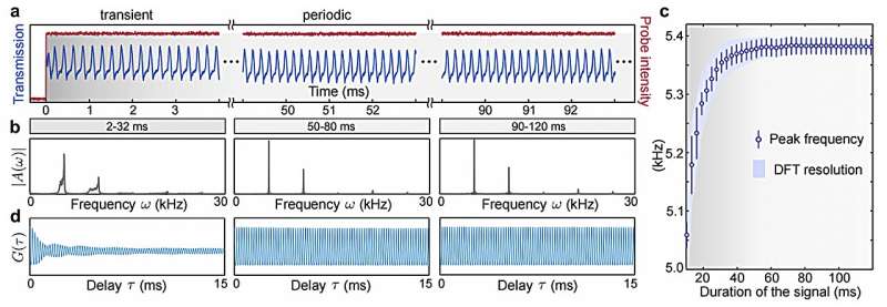 The experimental observation of a dissipative time crystal in a Rydberg gas