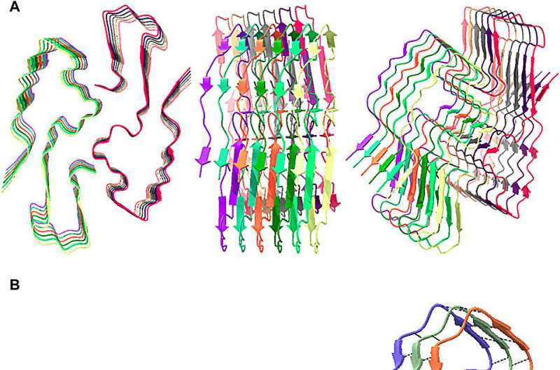 Quantum optical phenomenon in the brain challenges conventional view of amyloid in Alzheimer's