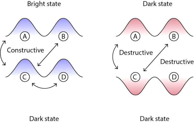 Study uncovers condensed-matter dark states in a quantum system with two pairs of sublattices