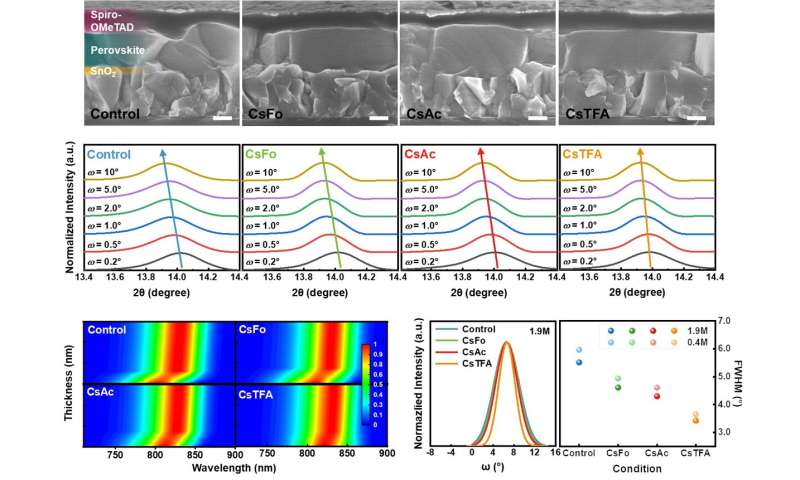 Constructing orderly crystal orientation with bidirectional coordinator for high efficiency and stable PSCs