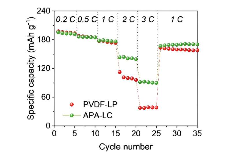 Fluoride-free batteries: Safeguarding the environment and enhancing performance