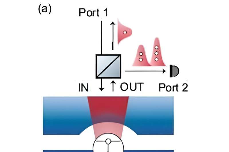 A device to sort photon states could be useful for quantum optical computer circuits