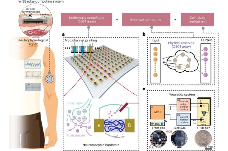 Stretchable transistors used in wearable devices enable in-sensor edge computing