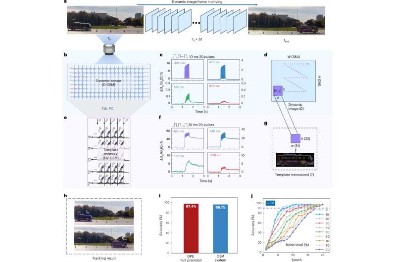 A fully integrated multi-mode optoelectronic memristor array for in-sensor computing 