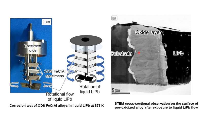 ODS FeCrAl alloys endure liquid metal flow at 600 °C resembling a fusion blanket environment