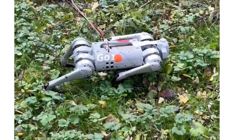 Robots can now walk through muddy and slippery terrain, thanks to Moose-like feet