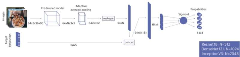 Scientists develop device for automated cropping and resizing of images