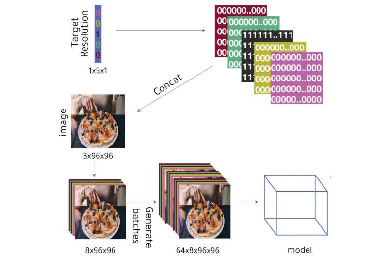 Scientists develop device for automated cropping and resizing of images