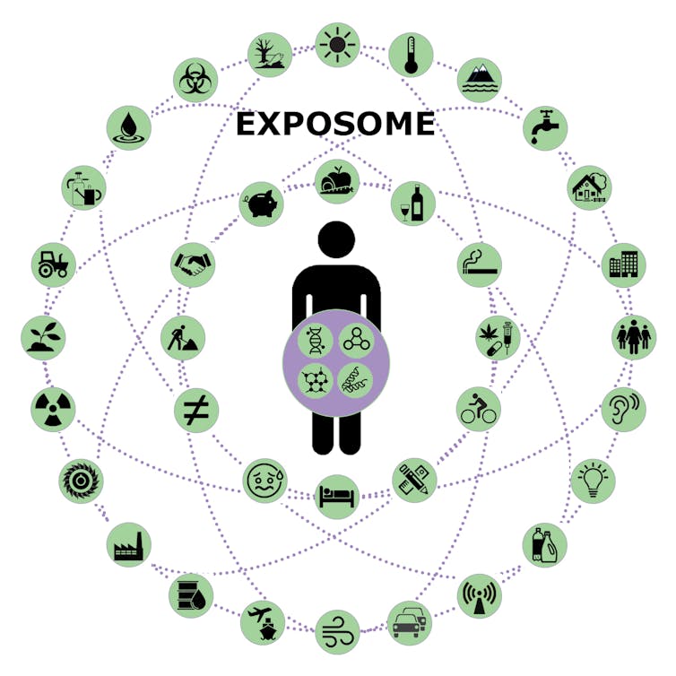 Diagram of a person surrounded by icons of the various environmental exposures that make up the exposome