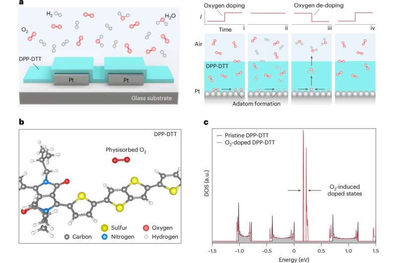 Scientists develop hydrogen sensor that could pave the way for safer, cleaner energy