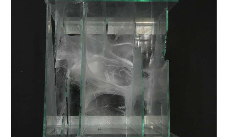 Silk-inspired in situ web spinning for situated robots