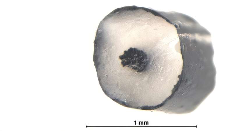 Silicone that moves: Muscles from the printer