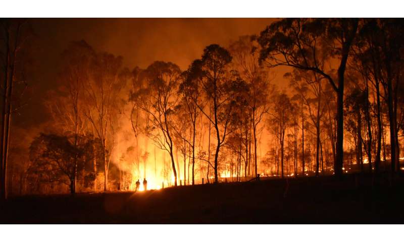 Blood pressure: New research shows a changing climate may jeopardise global blood supply