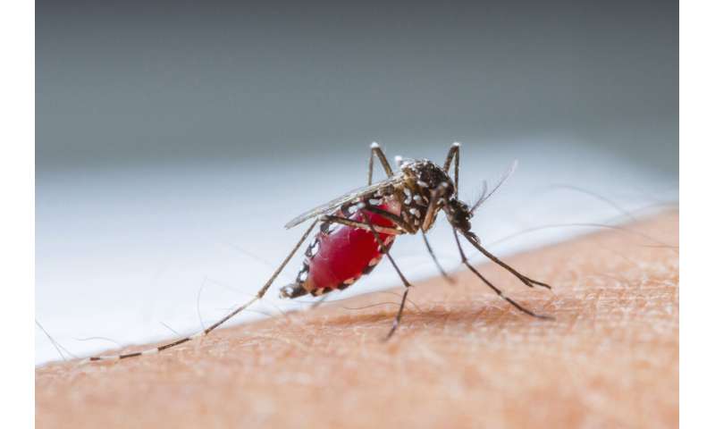 Blood pressure: New research shows a changing climate may jeopardise global blood supply
