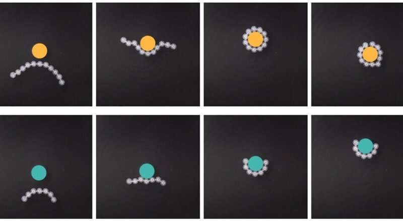 SNU-Harvard researchers jointly build next-gen swarm robots using simple linked particles