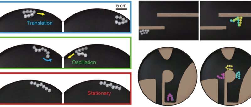 SNU-Harvard researchers jointly build next-gen swarm robots using simple linked particles
