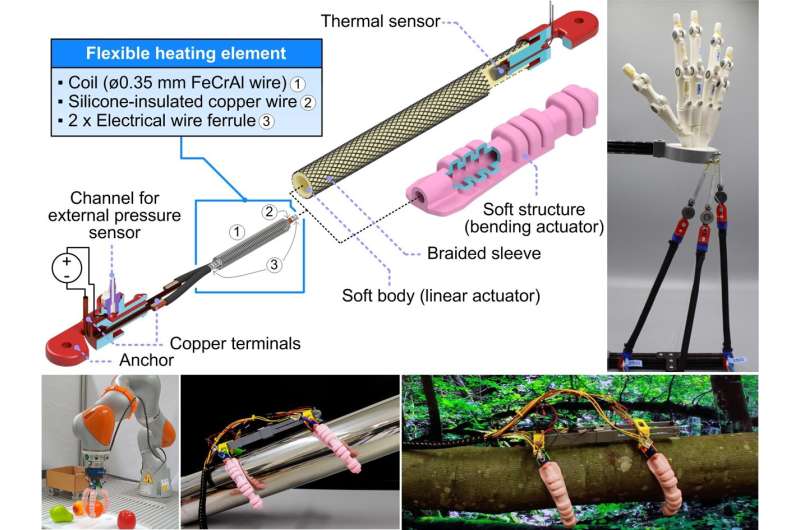 Design and exploded view of the linear and bending actuators featuring the flexible heating element. Actuators applied to power soft robots: biomimetic hand, soft robotic gripper, and Bixo. Credit: Robotics and AI Group at the University of Coimbra How water vapor is powering the next generation of soft robots