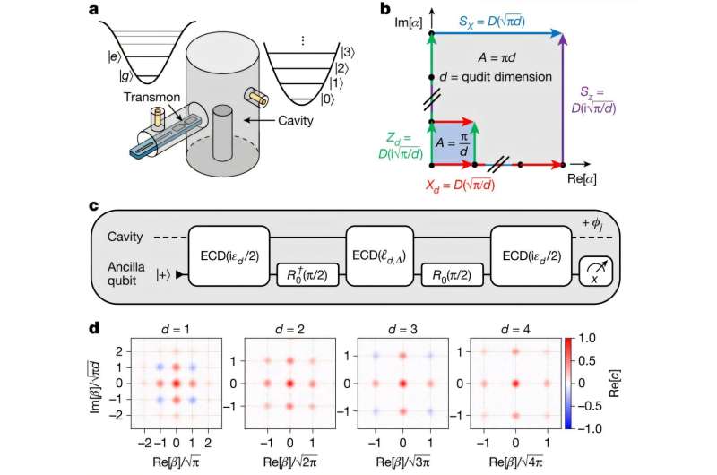 Stabilizing GKP qudits. Credit: Nature (2025). DOI: First successful experimental demonstration of quantum error correction of qudits for quantum computers
