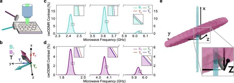 Proposed experiment for vectorial magnetometry. Credit: Nature Communications (2025). DOI: 10.1038/s41467-025-59642-0 New 2D quantum sensor breakthrough offers new opportunities for magnetic field detection