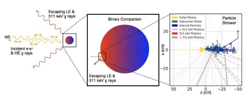 Depiction of the 511 keV emission process in an MSP binary system. Credit: Z. Metzler & Z. Wadiasingh Tracking down 'annihilation photons' could lead to unique binary systems